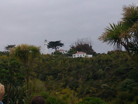 IMAG0054