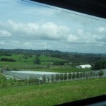 Auckland: Day 3