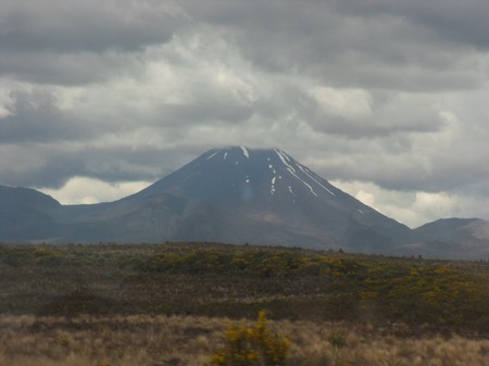 SDC13473