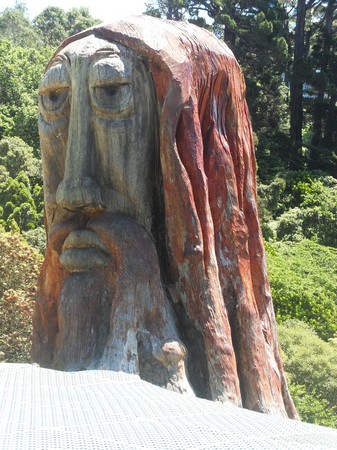 SDC13798