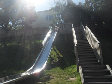 SDC13856