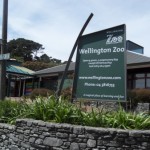 Wellington: Day 16 by Sol