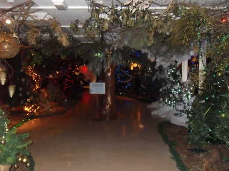 SDC14646