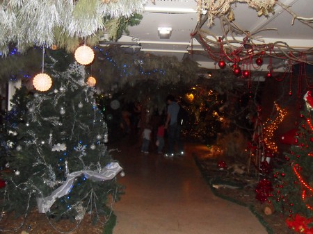 SDC14677