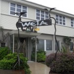 Wellington: Day 28