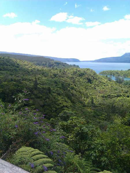 IMAG0138