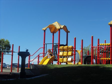 SDC15407