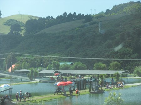 SDC15457