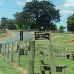 Rotorua: Day 12