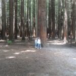 Rotorua: Day 13